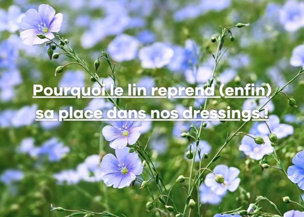 Pourquoi le lin reprend (enfin) sa place dans nos dressings